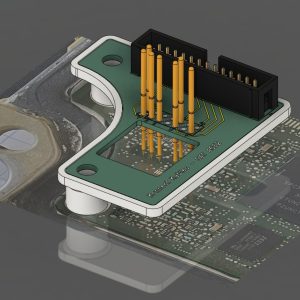 WhatsApp Image 2026-01-13 at 11.50.00 AM